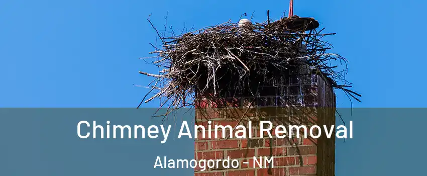  Chimney Animal Removal Alamogordo - NM