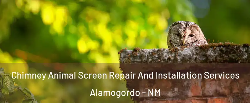 Chimney Animal Screen Repair And Installation Services Alamogordo - NM