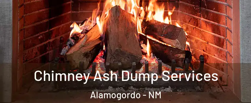  Chimney Ash Dump Services Alamogordo - NM