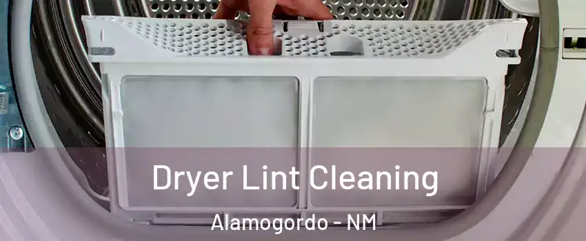  Dryer Lint Cleaning Alamogordo - NM