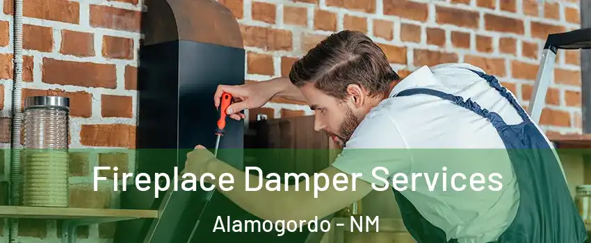  Fireplace Damper Services Alamogordo - NM