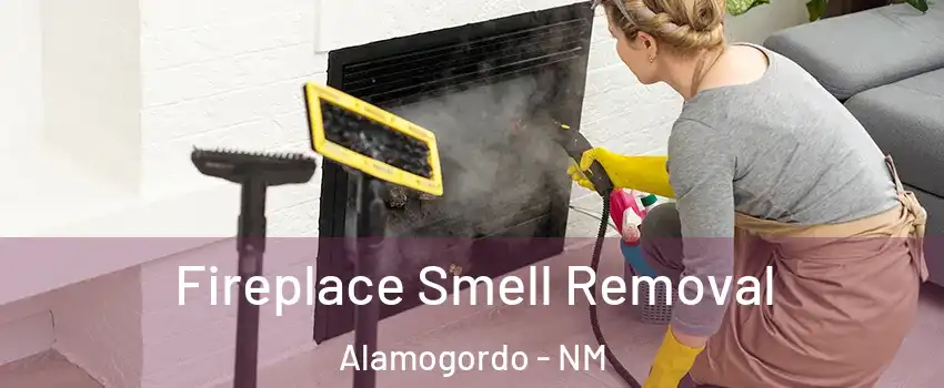  Fireplace Smell Removal Alamogordo - NM