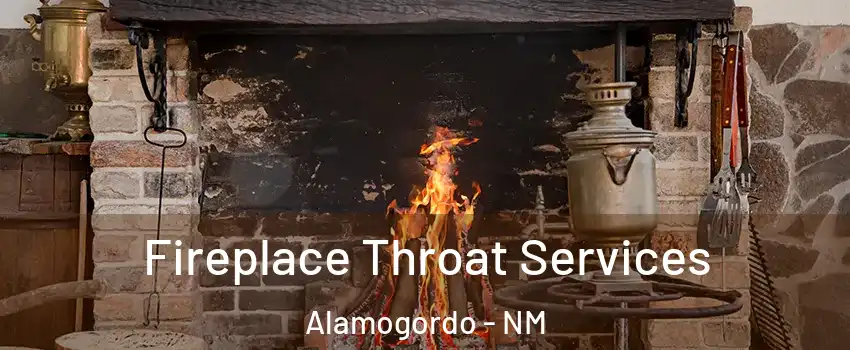  Fireplace Throat Services Alamogordo - NM