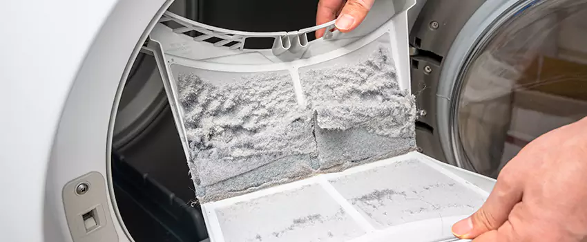Best Dryer Lint Removal Company in Alamogordo, New Mexico