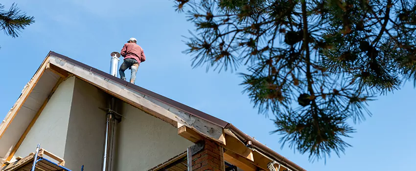 Birds Removal Contractors from Chimney in Alamogordo, NM