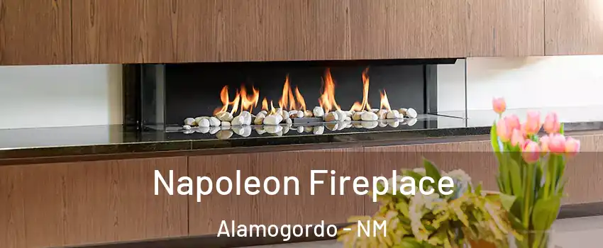  Napoleon Fireplace Alamogordo - NM